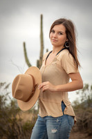 Arizona Summer